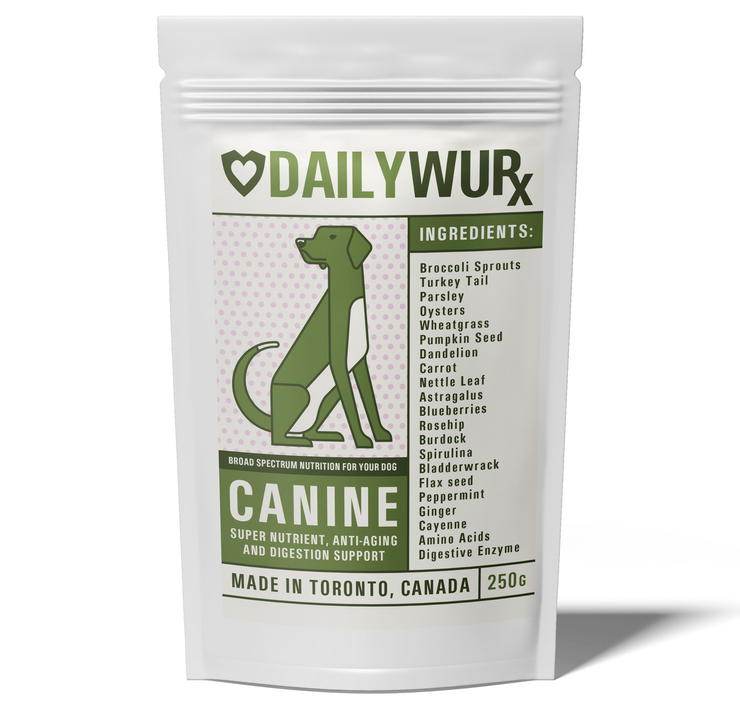 Canine